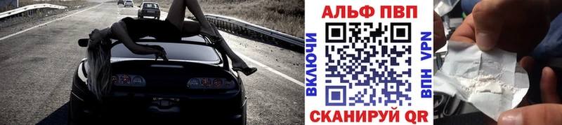 APVP СК  Рошаль 