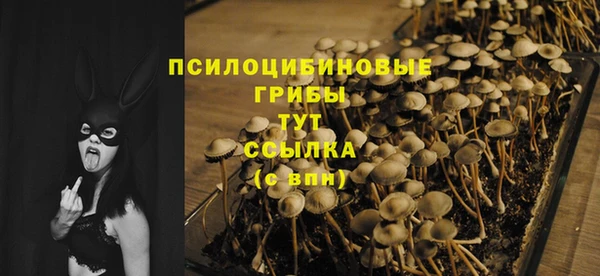 каннабис Сатка