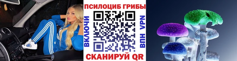 кракен маркетплейс Рошаль Галлюциногенные грибы Psilocybe